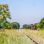 copyright: Adolf Schatten, naturlandschaftenwiens.com Bahngleise, alte Waggons, Brachland
