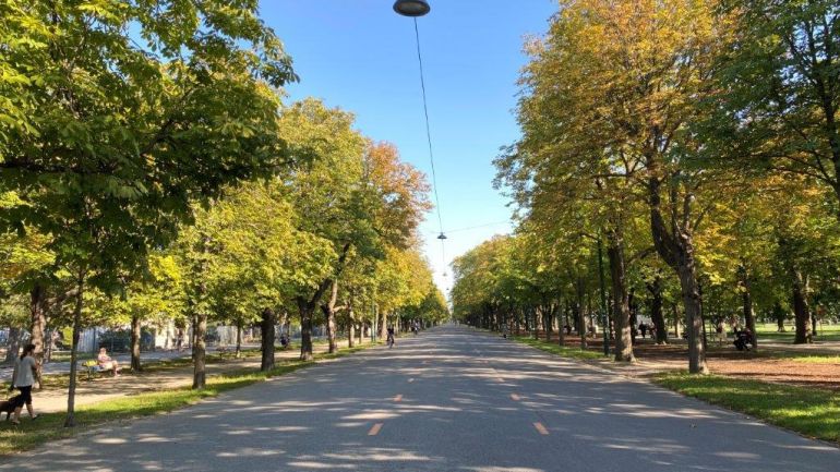 copyright: Wiener Stadtgärten Hauptallee im Wiener Prater