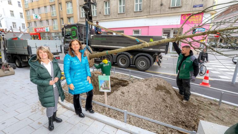 Silvia Jankovic und Ulli Sima stehen neben einem Beet, wo gerade ein Baum gesetzt wird.