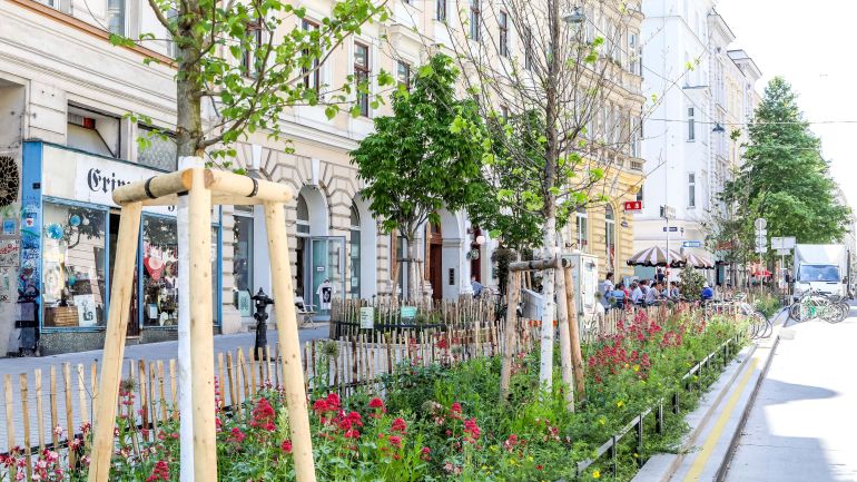 copyright: ©MA28/Christian Fürthner Mit Bäumen und Beeten begrünte Straße und Gehweg