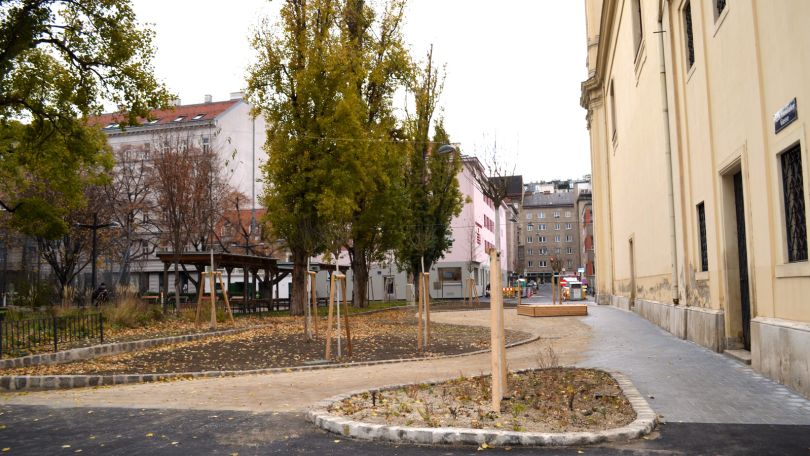 copyright: BV 9 Neue Pflanzenbeete und Jungbäume vor einem Gebäude