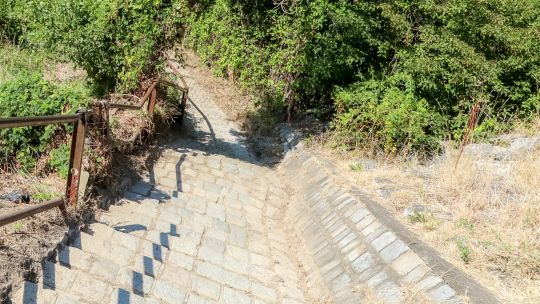 Abwertsführende gepflasterte Stiege, daneben grüne Büsche