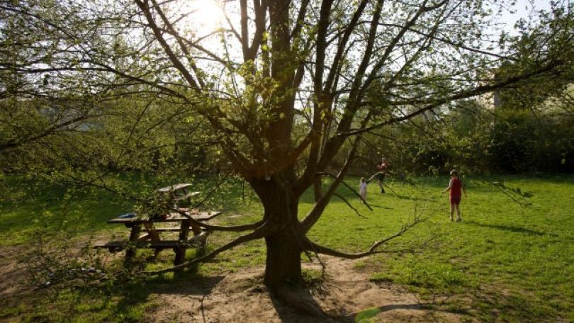 copyright: MA 42 - Lois Lammerhuber