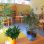 copyright: KIWI - Kinder in Wien Innenbereich Kindergarten Alma-Seidler-Weg 2Hort