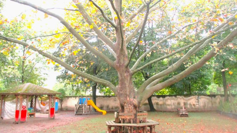 Außenbereich Garten Kindergarten 1130_Bergheidengasse 4