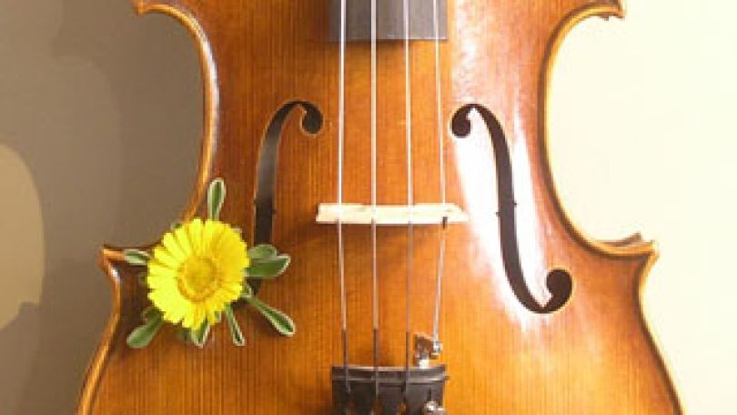 copyright: Albrecht Löbner OLYMPUS DIGITAL CAMERA