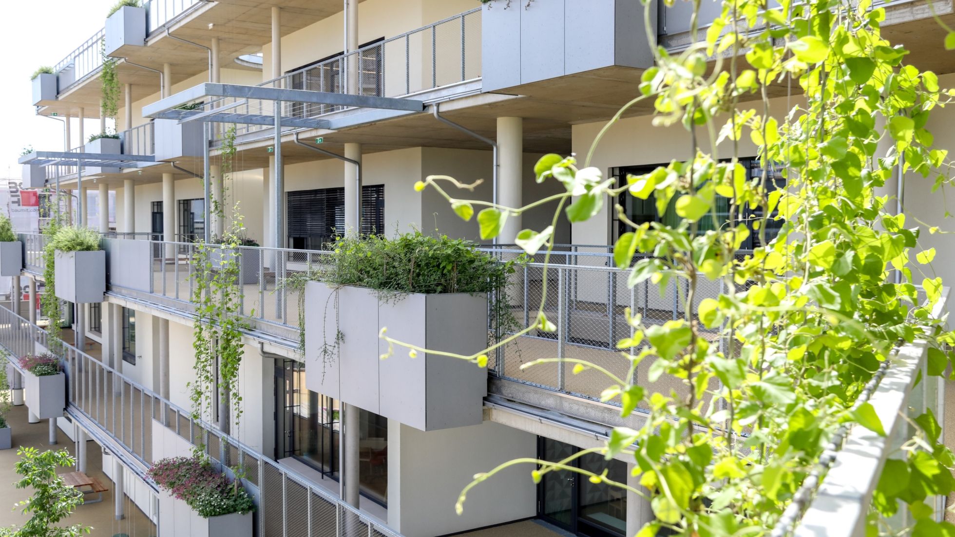 copyright: MA19/Christian Fürthner Schulgebäude mit begrünten Terrassen durch Kletterpflanzen