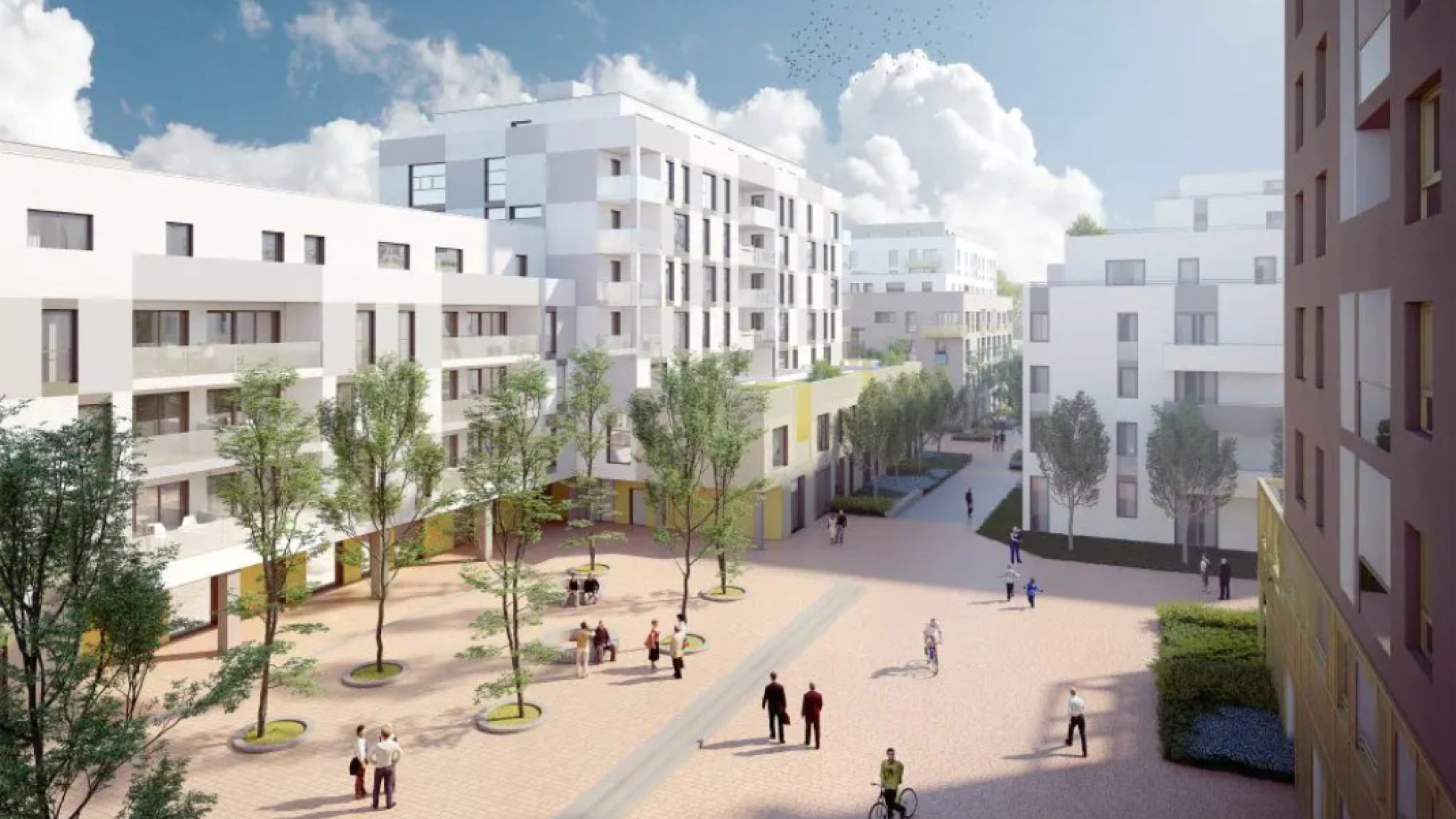 copyright: Architekt Knötzl ZT GmbH Rendering Wohnäuser, Platz mit mehreren Bäumen