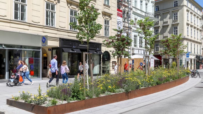 Neuer Markt mit Platanen, Staudensträuchern, in Granit und erhöhte Baumscheiben eingefasst, dahinter Gebäudefassaden und Passant*innen