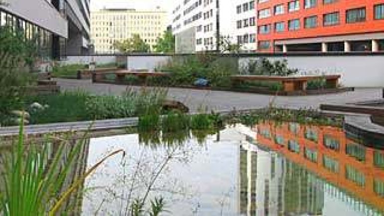 copyright: Jürgen Stanzer, MA 22 Dachbegrünung bei der MA 22