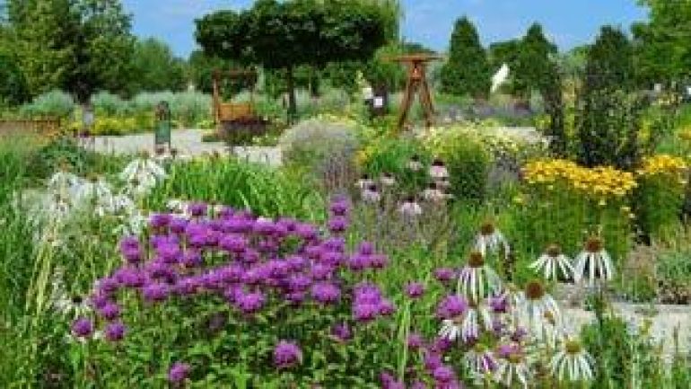 copyright: Wiener Stadtgärten Blühende Pflanzen