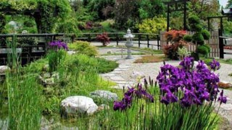 copyright: Wiener Stadtgärten Gartenanlage im japanischen Stil