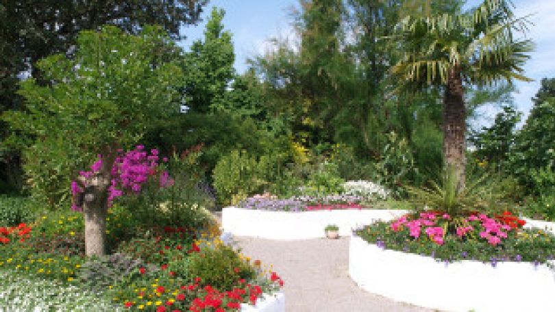 copyright: MA 42 Blumenbeete und Palmen