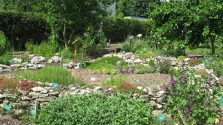 copyright: Wiener Stadtgärten Kräuter- und Gemüsebeete in einem Garten