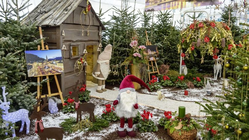copyright: Wiener Stadtgärten (MA 42) Weihnachtsausstellung zeigt eine kleine Holzhütte, daneben Christbäume und Weihnachtswichtel.