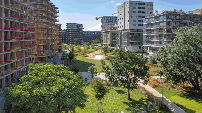 copyright: Stefan Seelig Wiese mit Bäumen im Bert-Brecht-Park. Links und rechts vom Park stehen hohe, moderne Wohnhäuser.