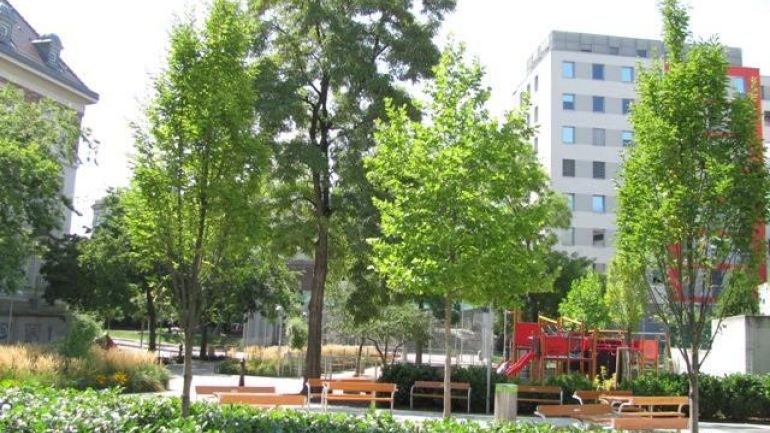 copyright: MA 42 Sitzbänke vor dem Spielplatz