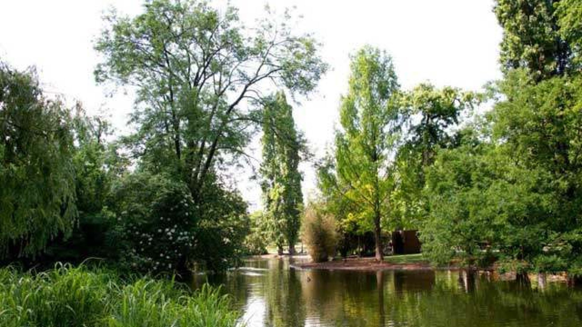 copyright: MA 42 Teich in einem Park