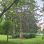copyright: Wiener Stadtgärten Park mit Wiese und Bäumen