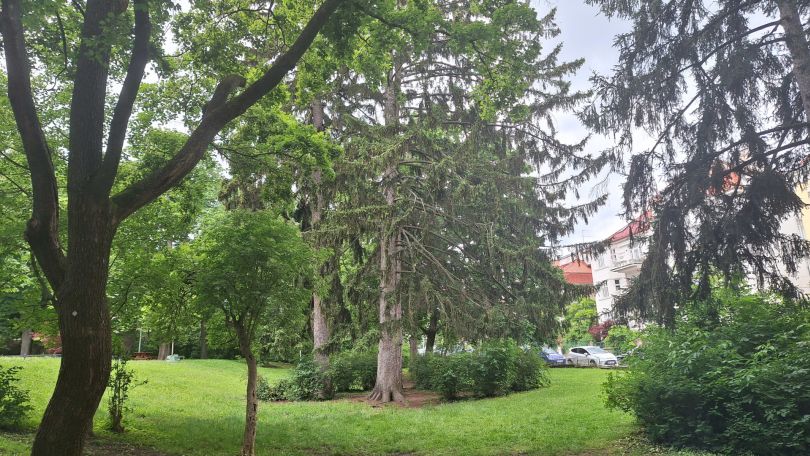 copyright: Wiener Stadtgärten Park mit Wiese und Bäumen
