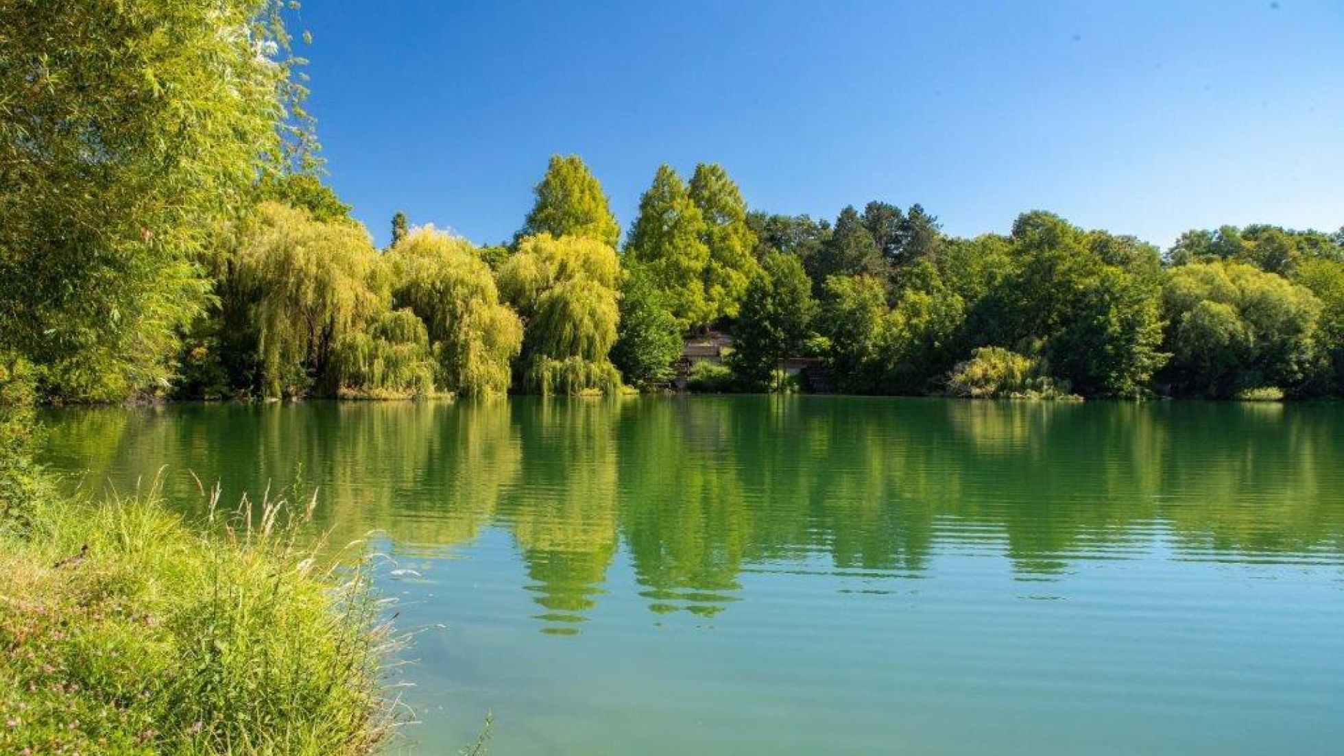 copyright: Wiener Stadtgärten/Houdek Teich in einem Park