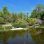copyright: Wiener Stadtgärten/Jobst Pond in a japanese garden, many trees next to it