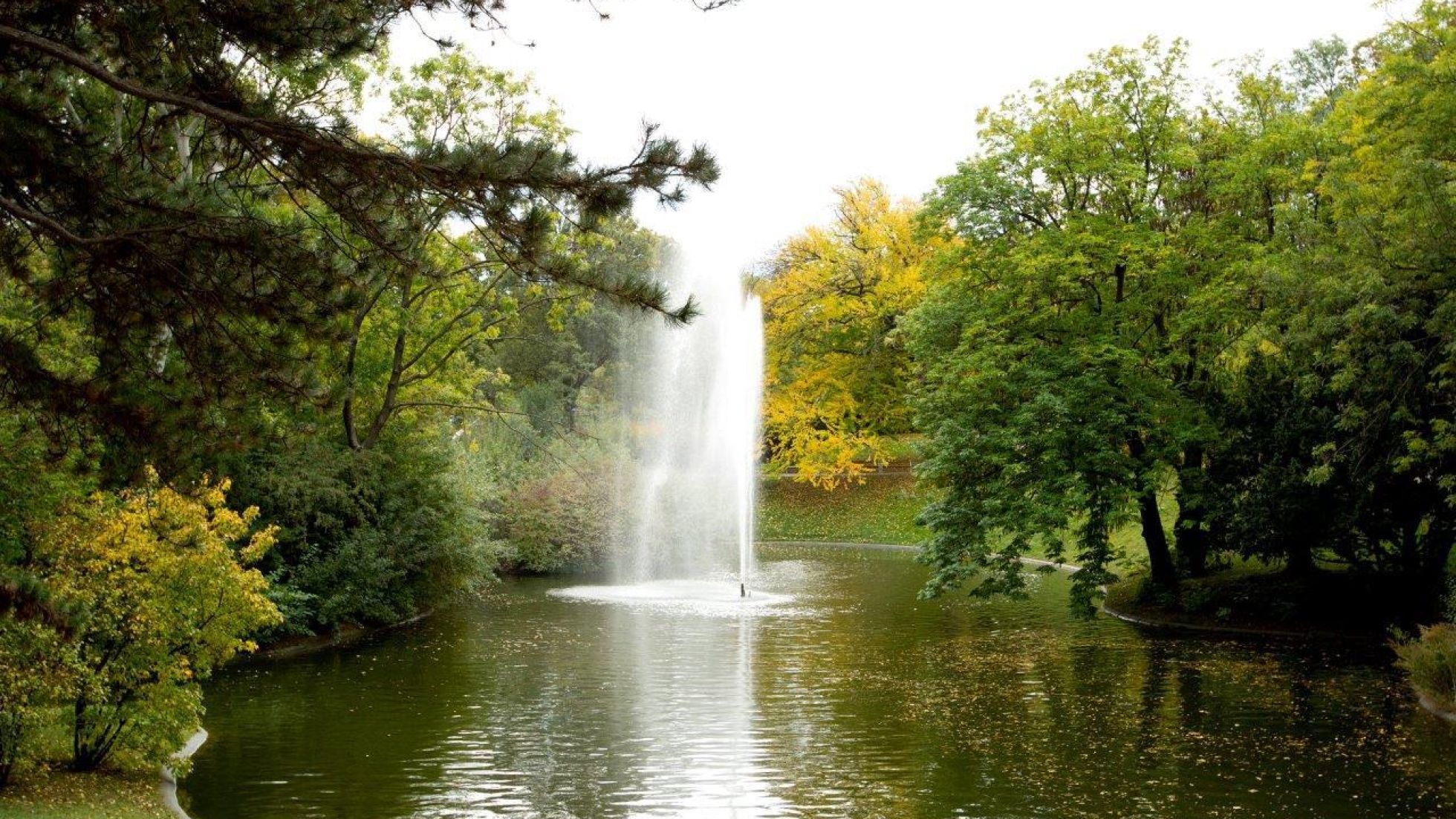 copyright: Wiener Stadtgärten/Felicitas Matern Wasserfontäne in einem Teich