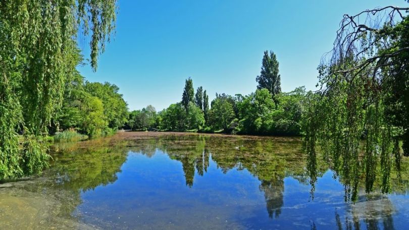 copyright: Wiener Stadtgärten/Jobst Teich in einem Park