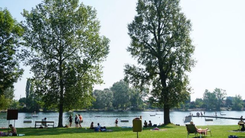 copyright: Stadt Wien/Horst Lassnig Liegewiese im Gänsehäufel-Bad