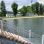 copyright: Stadt Wien - Bäder (MA 44) Vom Steg führen Stufen ins Wasser, im Hintergrund ist die Liegewiese am Ufer der Alten Donau zu sehen.