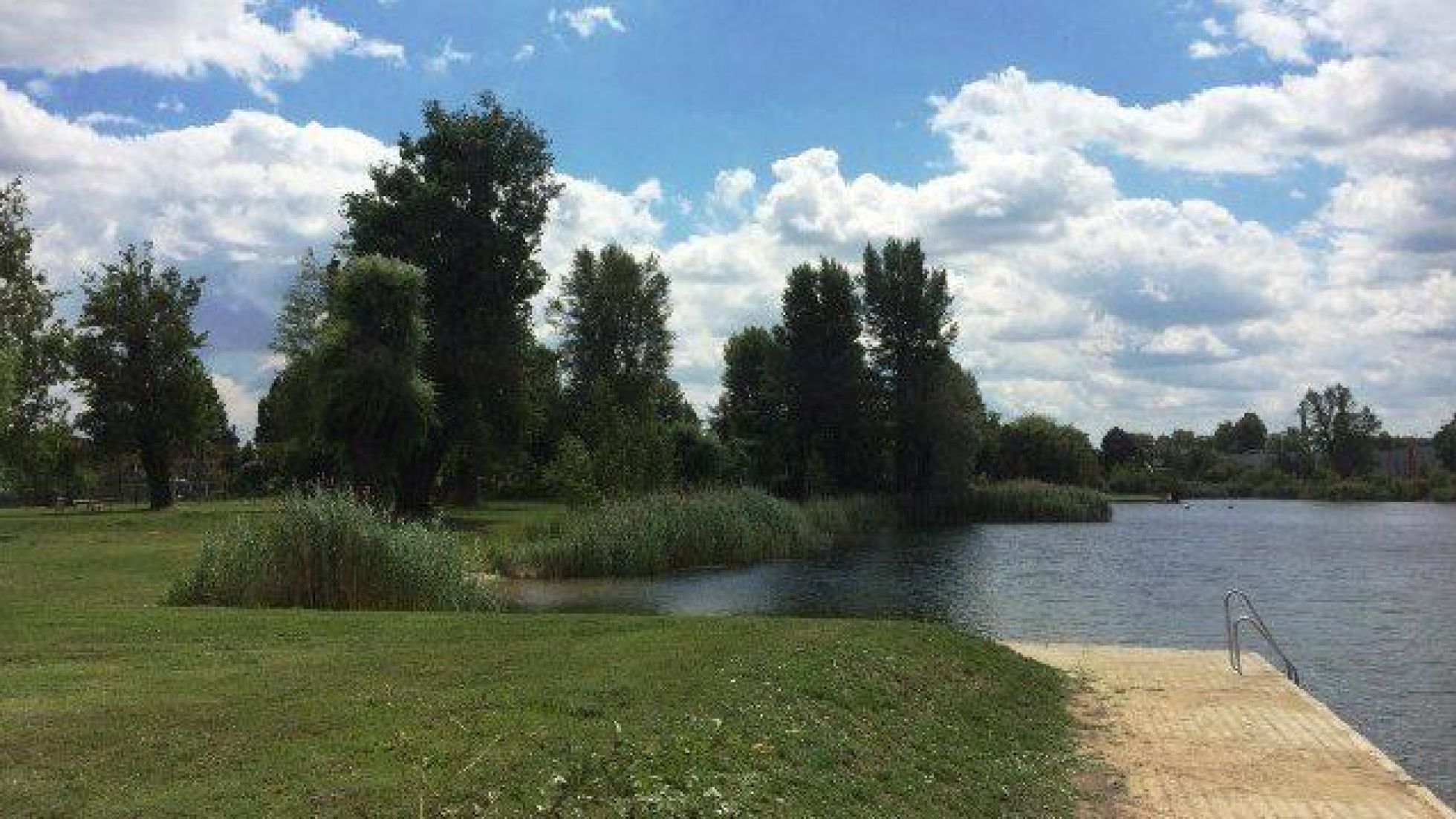 copyright: MA 45 - Wiener Gewässer Liegewiese an der Alten Donau, am Ufer führt eine Stiege ins Wasser.