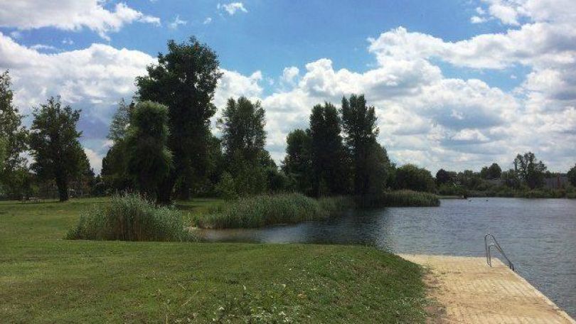 copyright: MA 45 - Wiener Gewässer Liegewiese an der Alten Donau, am Ufer führt eine Stiege ins Wasser.