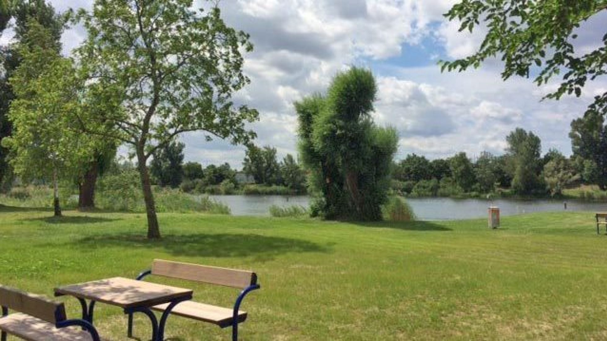 copyright: MA 45 - Wiener Gewässer Liegewiese an der Alten Donau mit Bäumen und einem Holztisch mit Bänken.