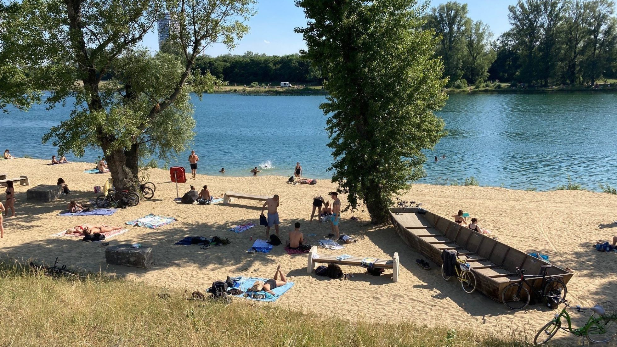 copyright: Wiener Gewässer - MA 45 Sandstrand am Ufer der Neuen Donau mit großen Bäumen.