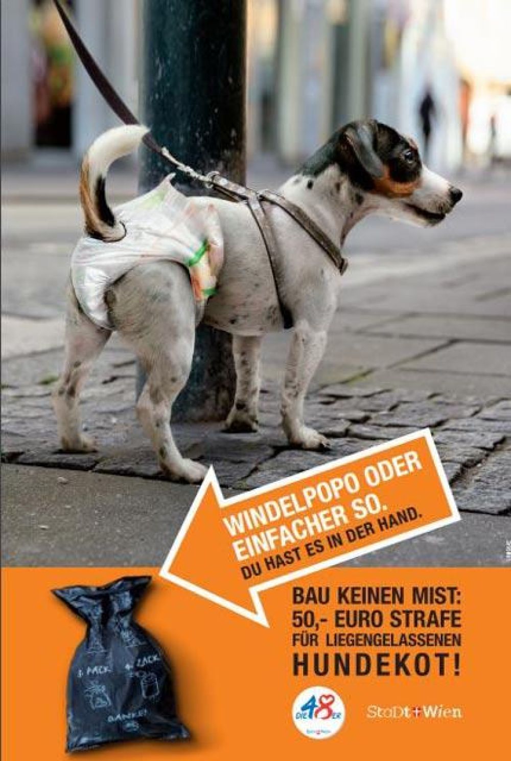 Hund mit einer Windel