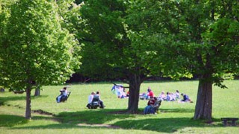 copyright: Lammerhuber - MA 49 Menschen auf einer Wiese