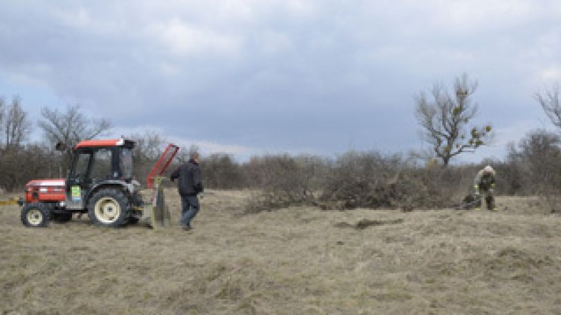 copyright: MA 49 - Forstbetrieb der Stadt Wien Forstarbeiter mit Traktor