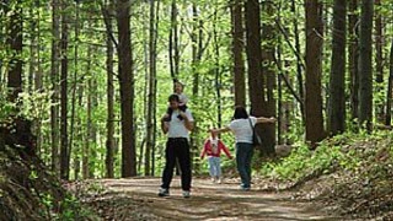 copyright: MA 49 Eine Familie im Wald