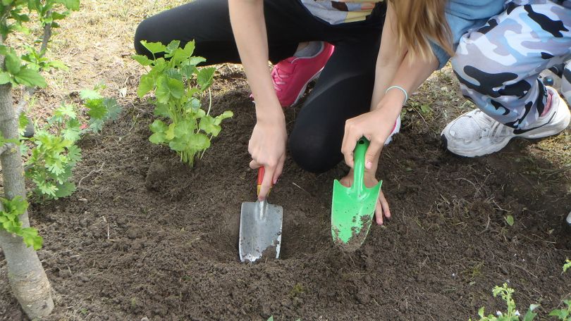 Kinder bei Gartenarbeit