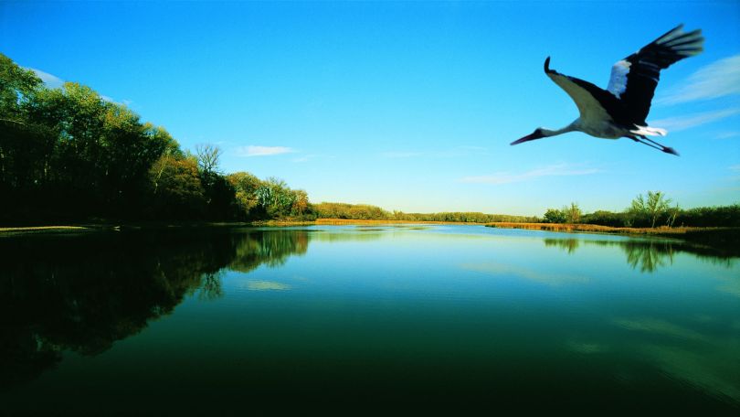 Exkursion in den Nationalpark Lobau