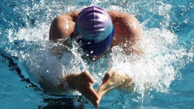 copyright: wienweb - Günther Bauer Brustschwimmer