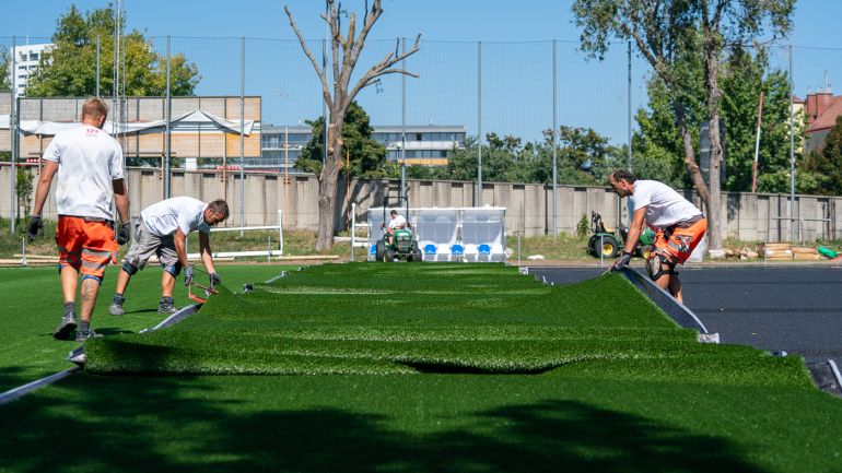 copyright: David Bohmann David Bohmann