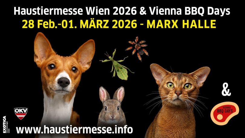 copyright: Veranstalter Sujet der Haustiermesse Wien mit einem Hund, einer Katze und einem Kaninchen, einer Spinne und einer Schrecke