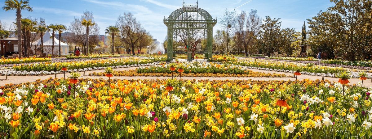 copyright: Houdek Viele bunte blühende Blumen in den Blumengärten Hirschstetten
