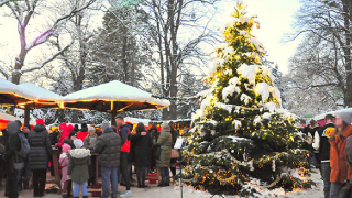 .Weihnachtsmarkt im Trkenschanzpark.