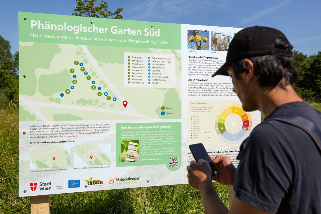 Mann steht mit Handy vor Info-Tafel "Phänologischer Garten Süd"
Copyright: Philipp Reiterer