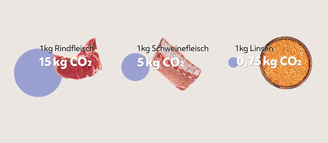 Die Grafik stellt den CO2 Verbrauch von Fleisch und Linsen bildlich dar.