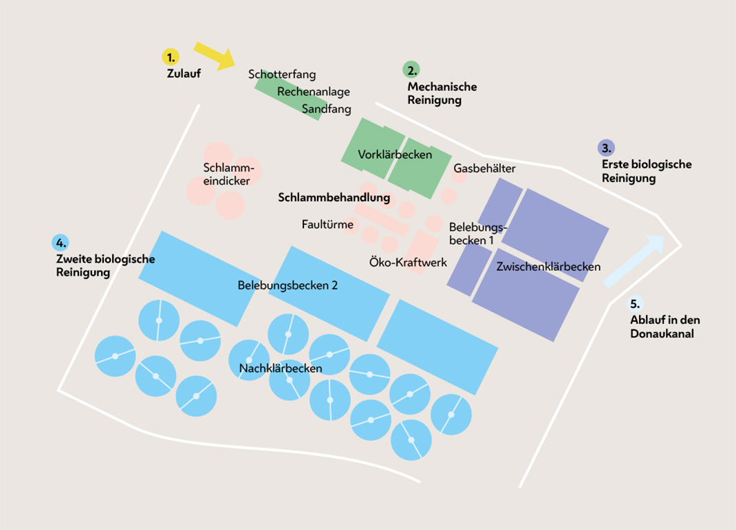 Die Grafik zeigt den Ablauf in einer Kläranlage. Vom Zulauf zur mechanischen Reinigung zur ersten biologischen Reinigung zur zweiten biologischen Reinigung bis zum Ablauf in den Donaukanal.