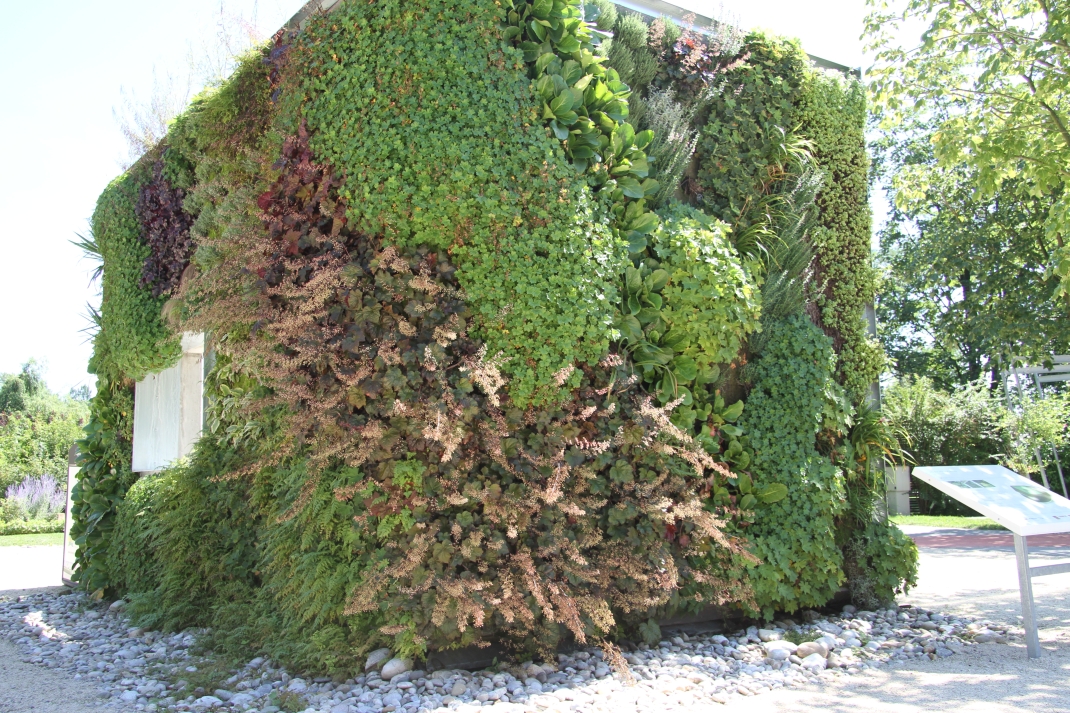 Foto einer fassadengebundenen Fassadenbegrünung mit vollflächigem Vegetationsträger im Gesamtsystem. Lage der Pflanze im Winkel von 90 °
(c) 90DEGREEN