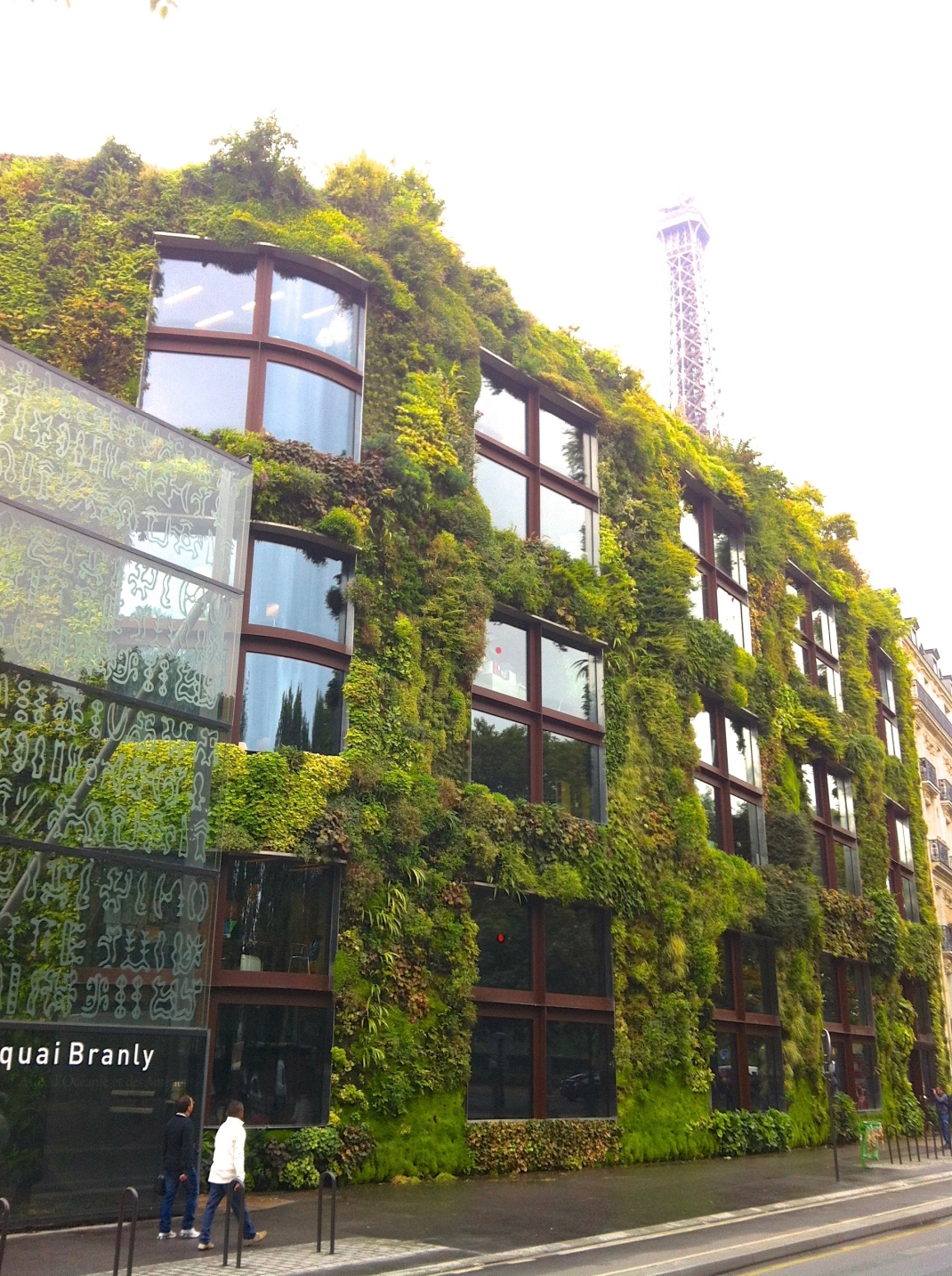 Foto einer fassadengebundenen Fassadenbegrünung mit vollflächigem Vegetationsträger im Gesamtsystem. Lage der Pflanze im Winkel von 90 °
(c) 90DEGREEN